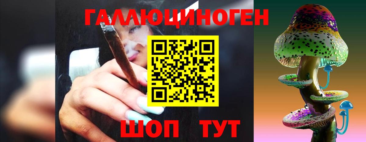 Галлюциногенные грибы Psilocybe Партизанск